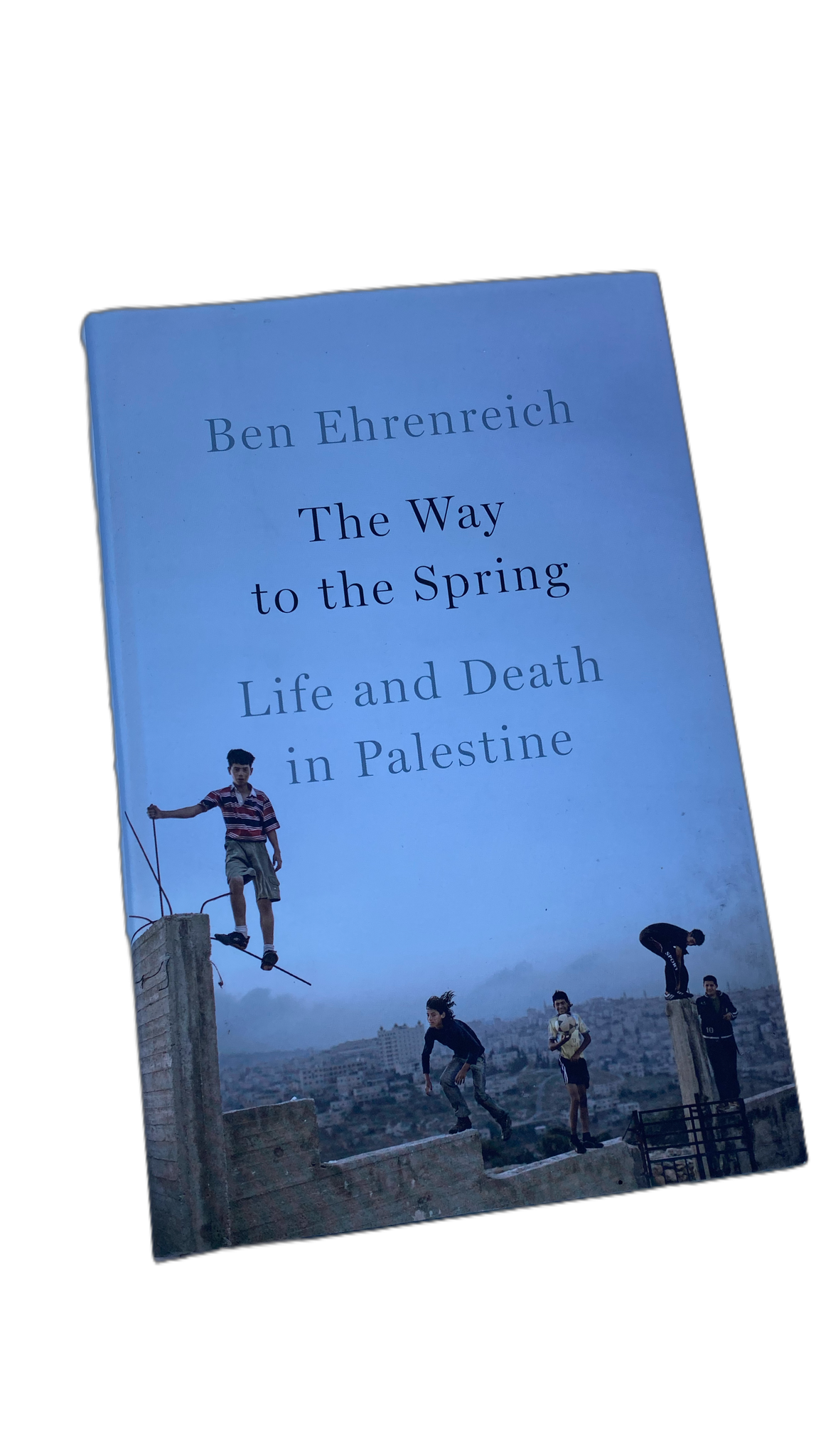 Books | The Way to the Spring: Life and Death in Palestine