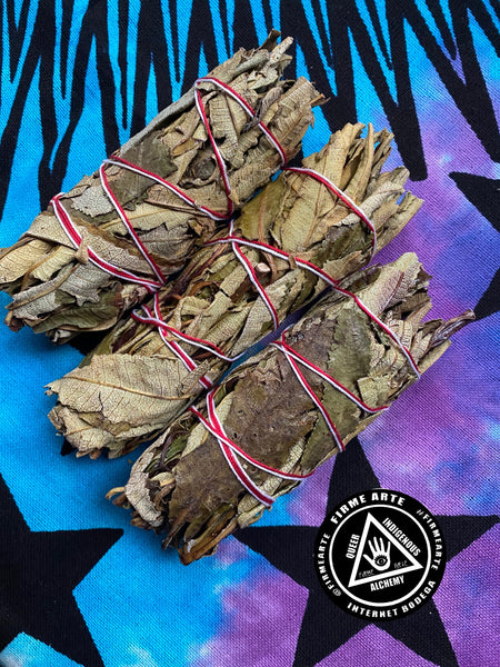 Botanical Bundle | Yerba Santa 5-6 inch